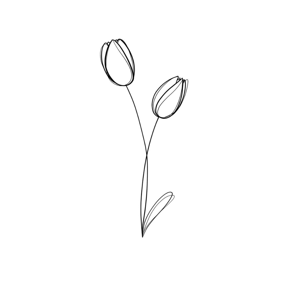 Meet your Posher, PINE + TULIP